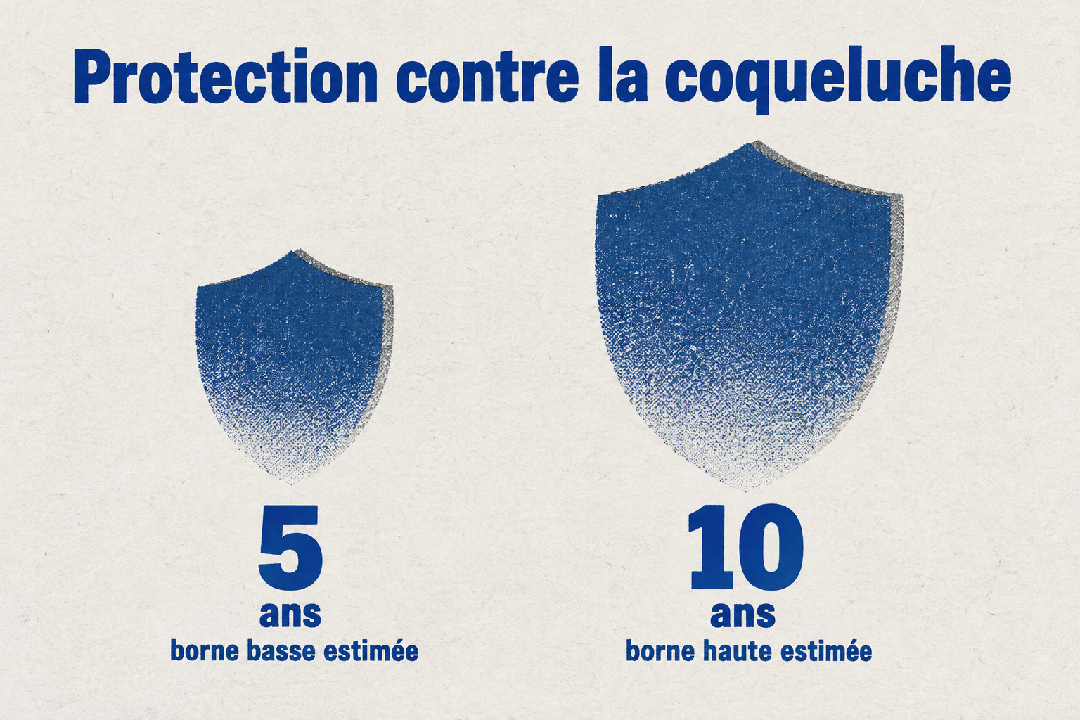 La durée estimée de protection contre la coqueluche se situe entre 5 et 10 ans, puis elle diminue progressivement.